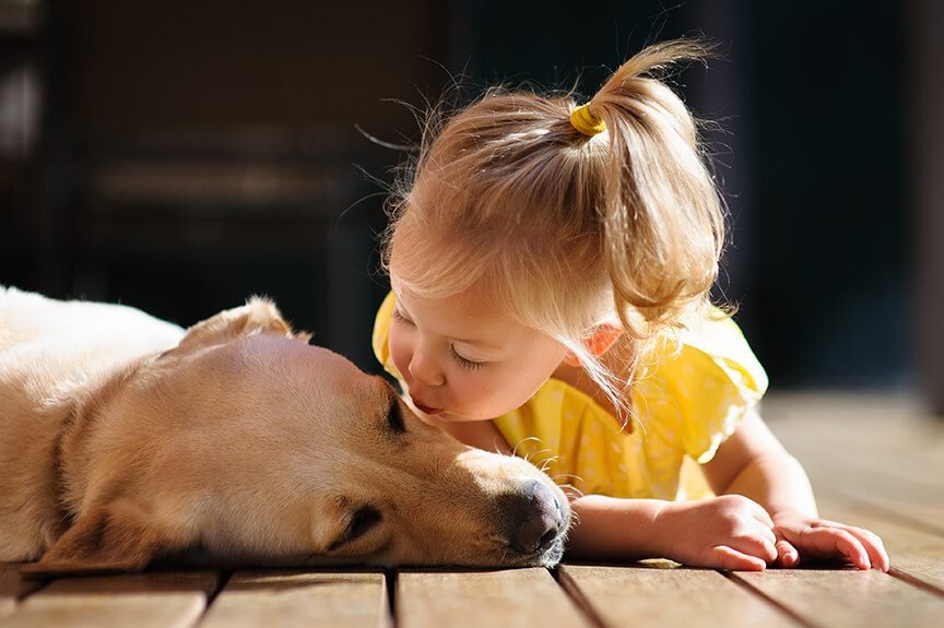 Carefully Socializing Dogs with U.S. Kids