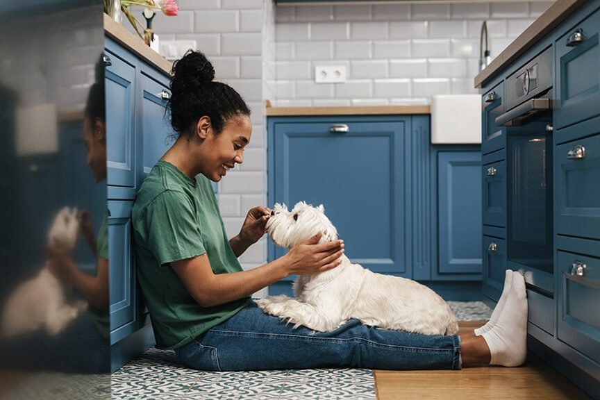 Introducing Your Dog to Elements of U.S. Home Life